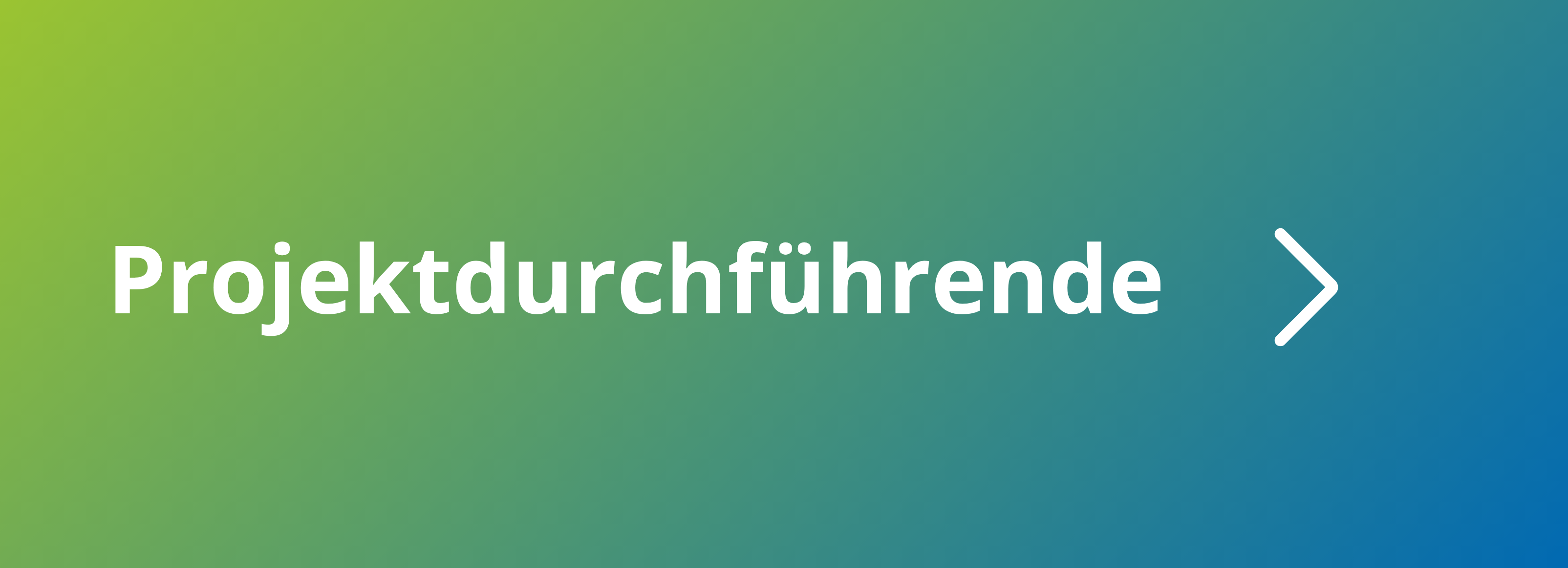 Projektdurchführende