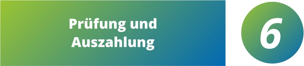 Schritt 6 für Projektdurchführende: Prüfung und Auszahlung