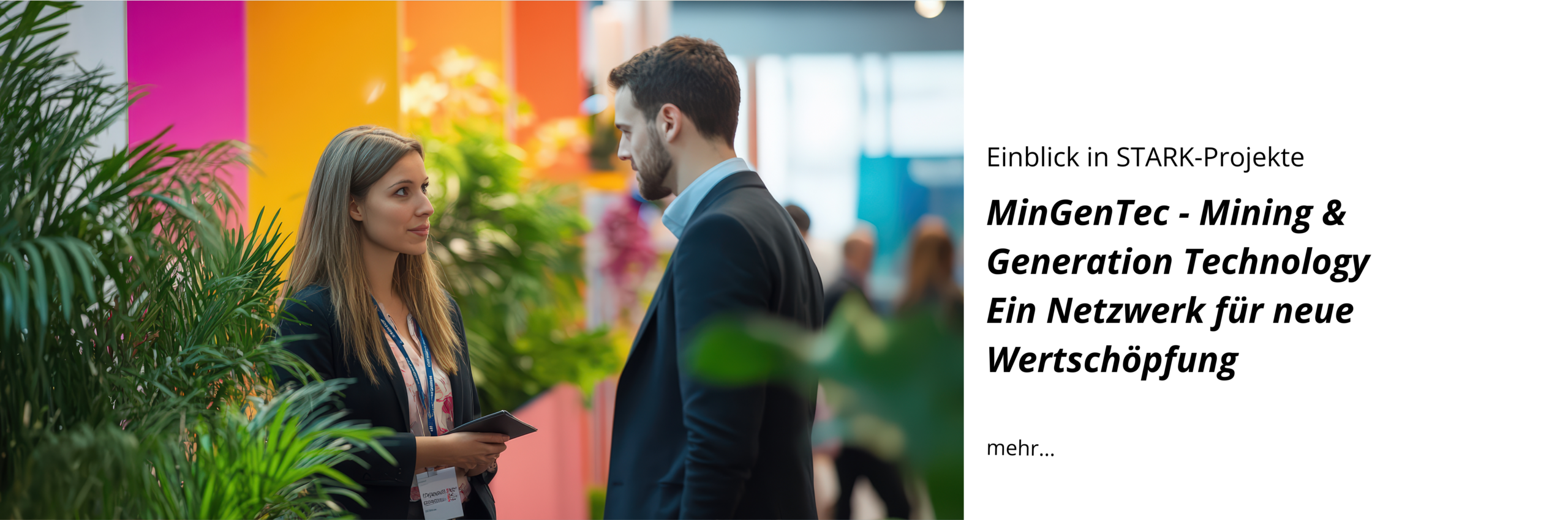 Einblick in STARK-Projekte: MinGenTec - Mining & Generation Technology Ein Netzwerk für neue Wertschöpfung
