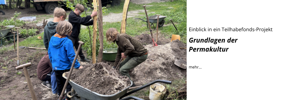 Einblick in ein Teilhabefonds-Projekt: Grundlagen der Permakultur Einblick in ein Teilhabefonds-Projekt: Grundlagen der Permakultur