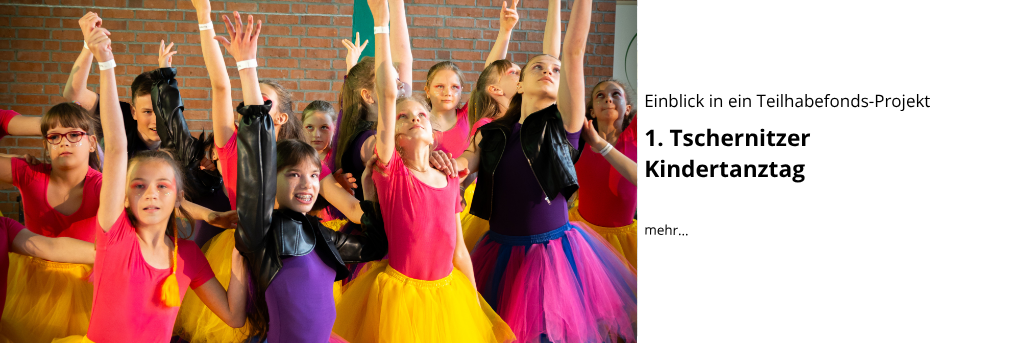 Webseite Slider Banner THF Tschernitz
